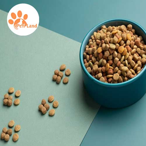 فواید غذای خشک گربه