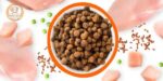 غذای گربه از چی درست میشه؟
