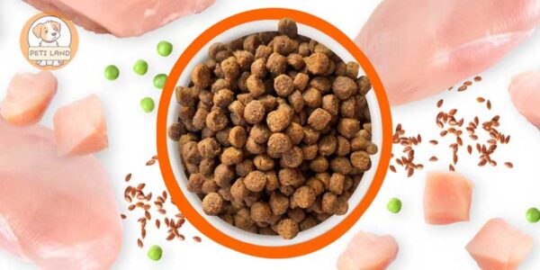 غذای گربه از چی درست میشه؟